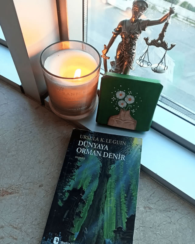 Dünyaya Orman Denir